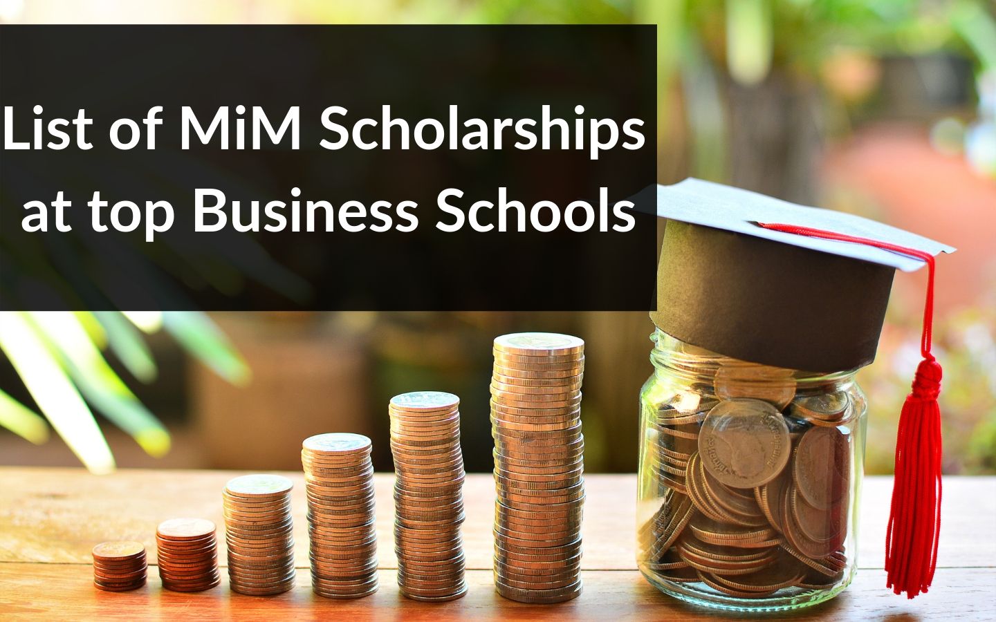 List of Masters in Management Scholarships – MiM Scholarships at Top Business Schools