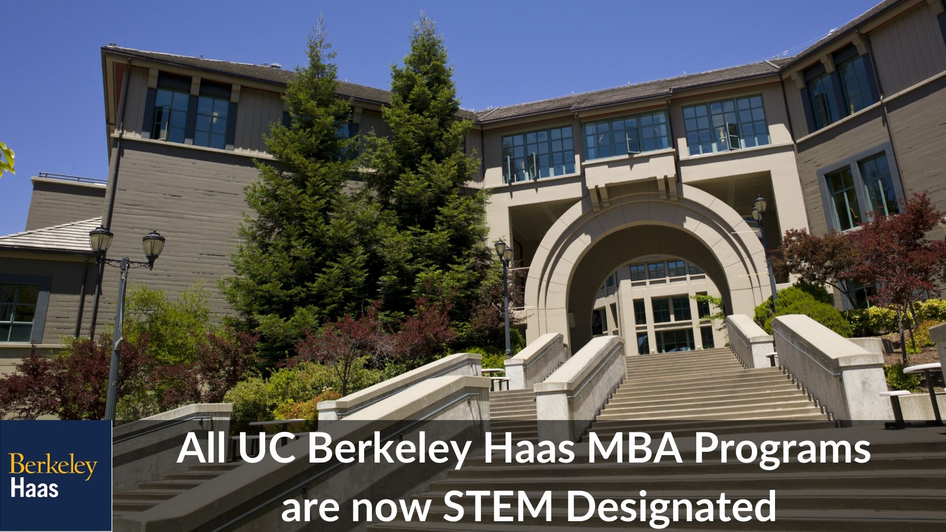 All UC Berkeley Haas MBA Programs are now STEM-Designated